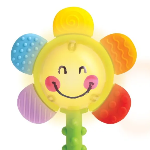 Hape Bloemenrammelaar - Shake & Sparkle