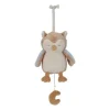 Little Dutch Forest Friends Muziekdoosje Uil