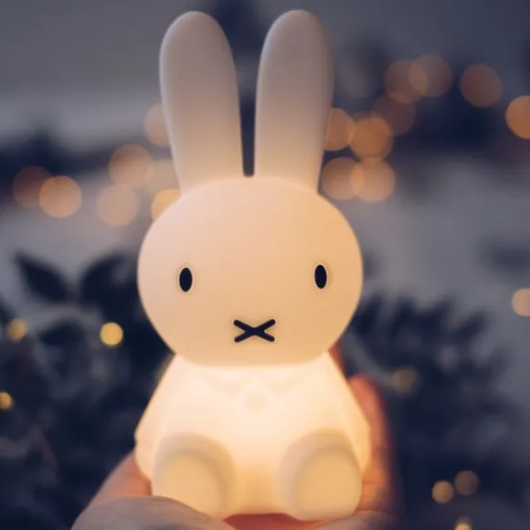 Mr Maria Nijntje Lamp - 15 cm