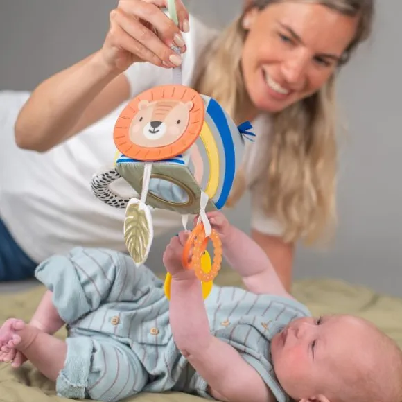 Taf Toys Savannah Activiteitenkubus