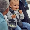 Thule Spring Snack Tray