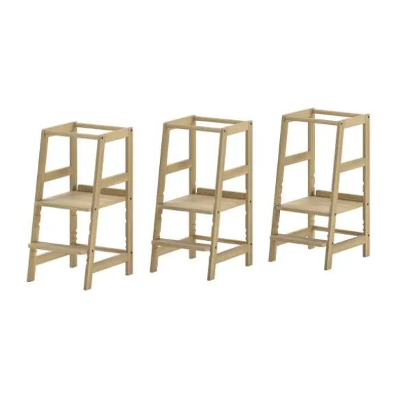 Vipack Leertoren - Forrest - Beuk Natuur